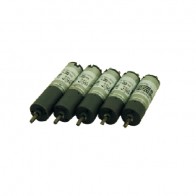 Gearmotor DC Carbon-brush Motors 171002