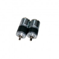 DC Motor Brushed 12V/24V 4500r/min 171034