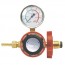 Gas Regulators