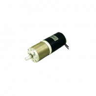 Geared Motors DC Carbon-brush Motors 171064