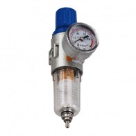 With overflow air regulator with gauge and filter 355252