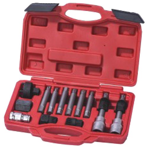 alternator freewheel pulley