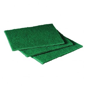 Scouring Pad